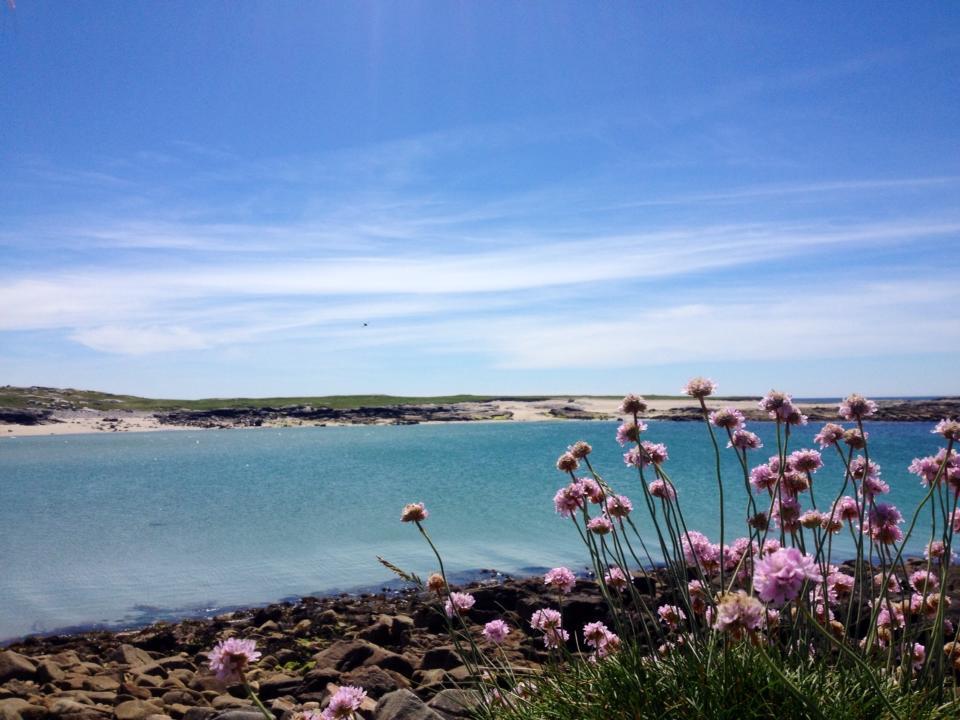 Dolphin Beach House Clifden Bagian luar foto