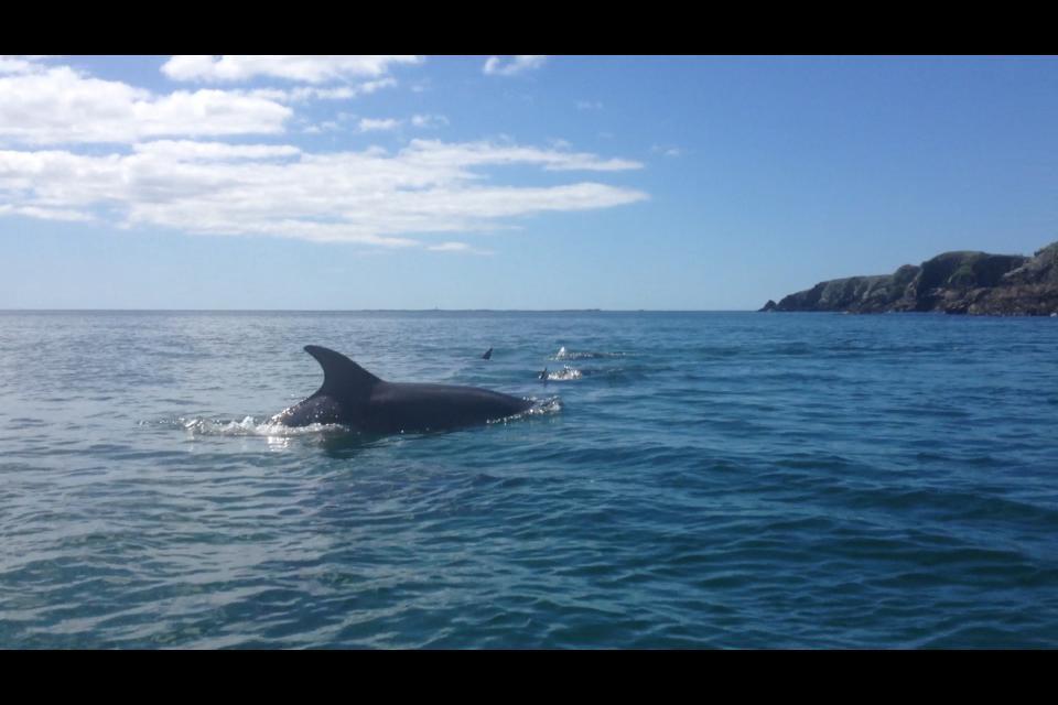 Dolphin Beach House Clifden Bagian luar foto