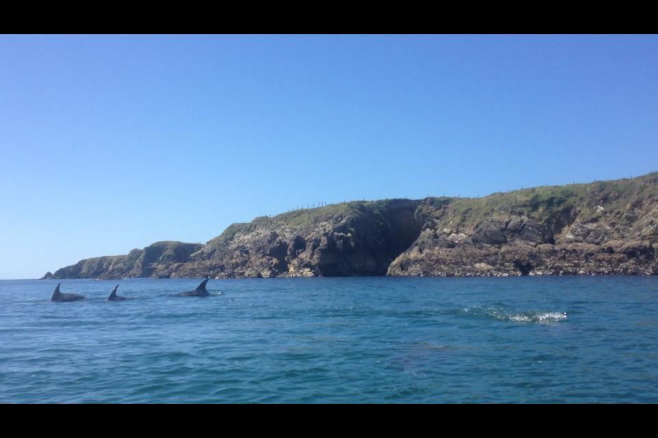 Dolphin Beach House Clifden Bagian luar foto