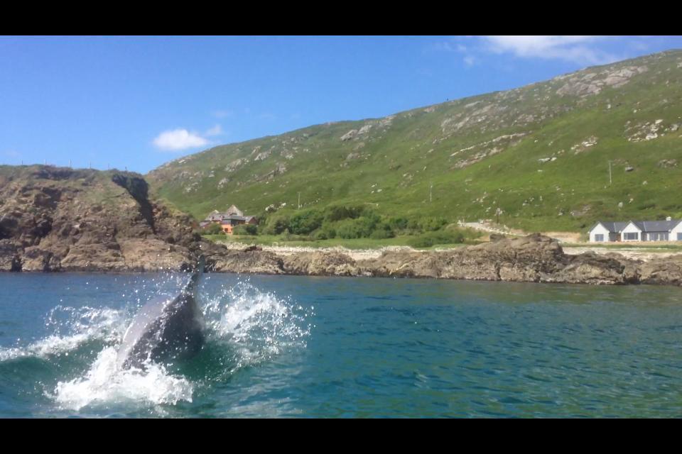 Dolphin Beach House Clifden Bagian luar foto