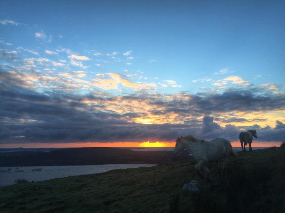 Dolphin Beach House Clifden Bagian luar foto